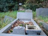 image of grave number 356132
